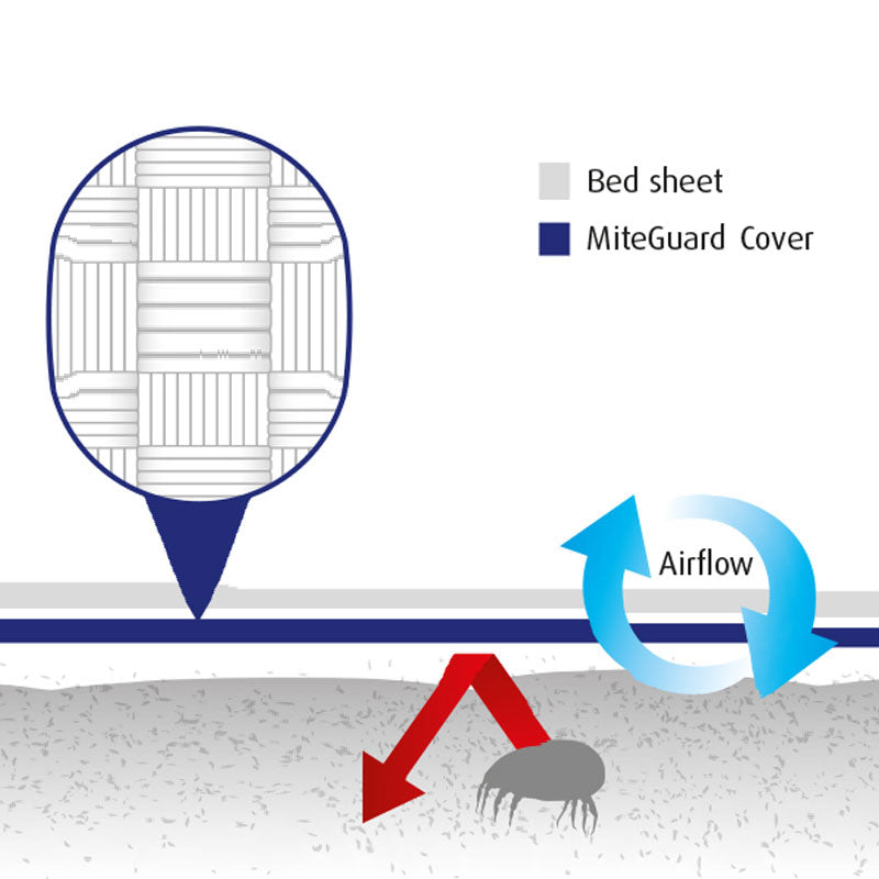 Second -Travel Sheet - Single Fitted Sheet - Save!